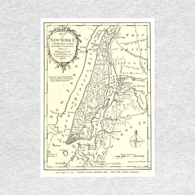 Vintage Map of New York City (1893) by Bravuramedia